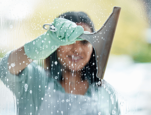Spring Cleaning Your Windows: Pro Tips for a Streak-Free Shine
